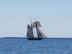 Pride of Baltimore II: Sailing north of Point Lookout in company with the Pride of Baltimore II